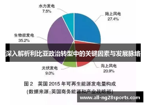 深入解析利比亚政治转型中的关键因素与发展脉络